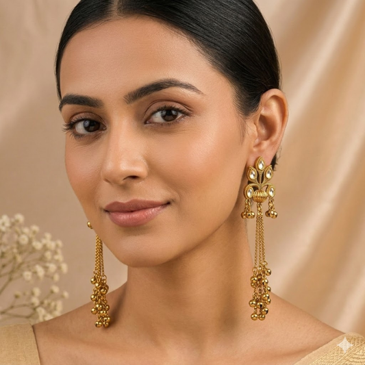 Kashmiri Long Earring