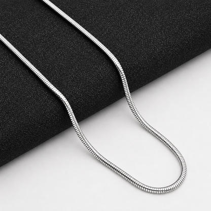 Round Snake Silver Chain
