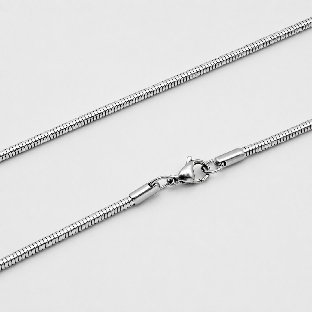 Round Snake Silver Chain