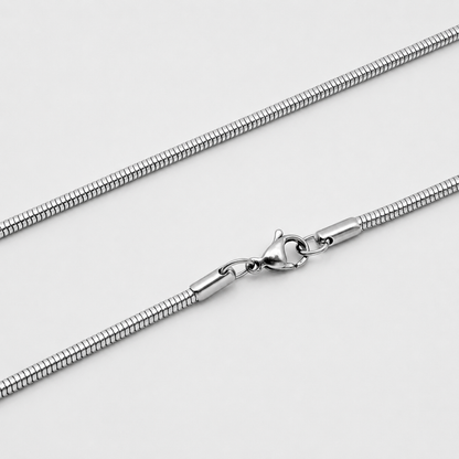 Round Snake Silver Chain
