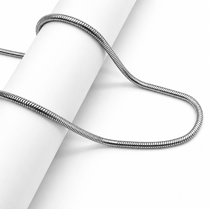 Round Snake Silver Chain
