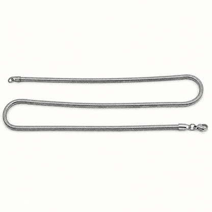 Round Snake Silver Chain