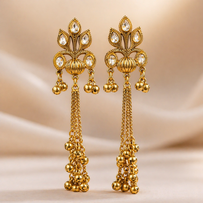 Kashmiri Long Earring